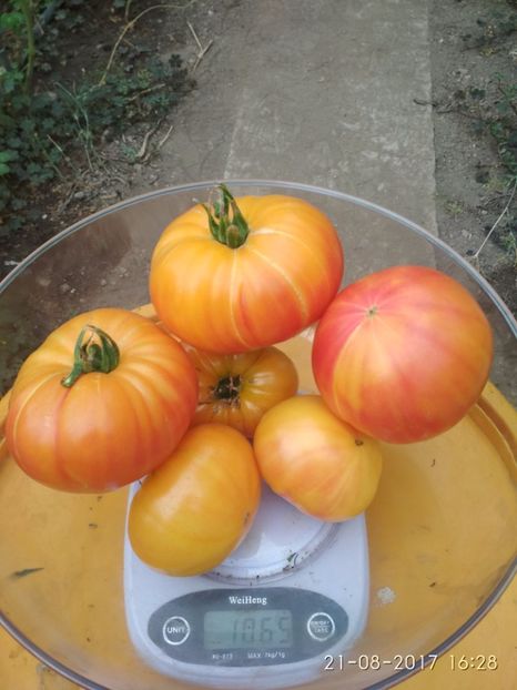 OLD GERMAN DE LA UN FIR - OLD GERMAN