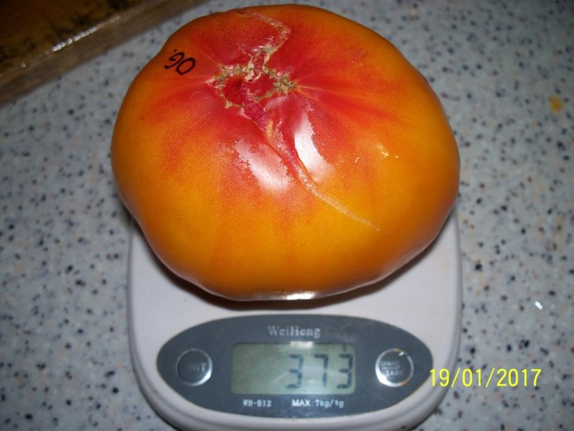 OLD GERMAN (24) - OLD GERMAN