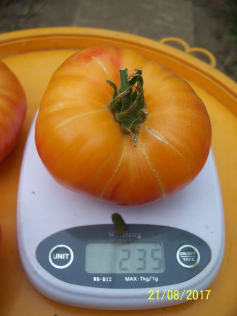 OLDGERMAN (7) - OLD GERMAN