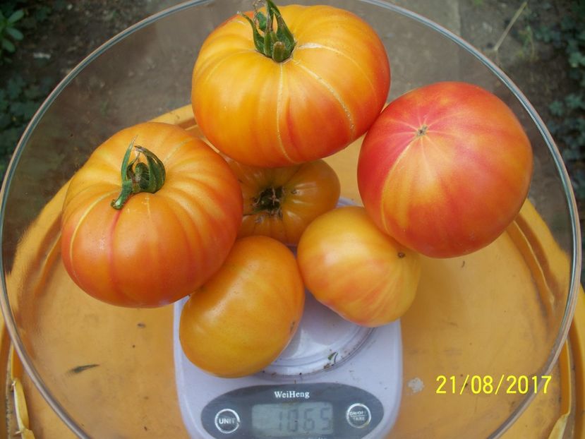 OLDGERMAN (8) - OLD GERMAN