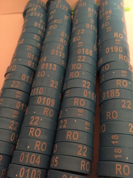  - 01 Inele Ornament 2018