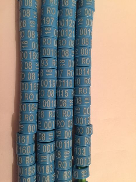  - 01 Inele Ornament 2018