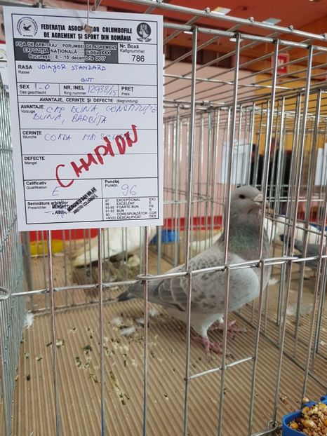  - 1-Epozitia Națională 2017 București