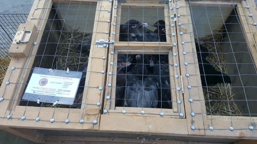 Va asteptam - Expo nationala 2017