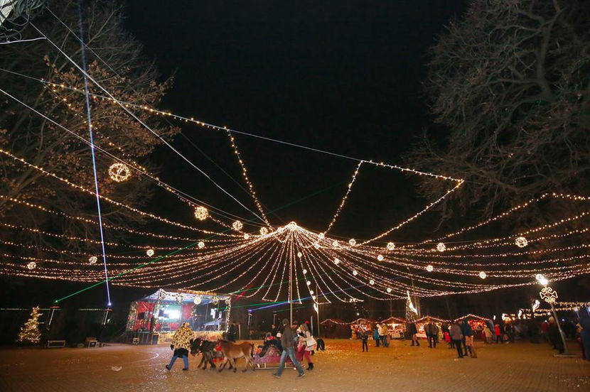 sanie si ponei Targul de Craciun - Sanie pentru evenimente