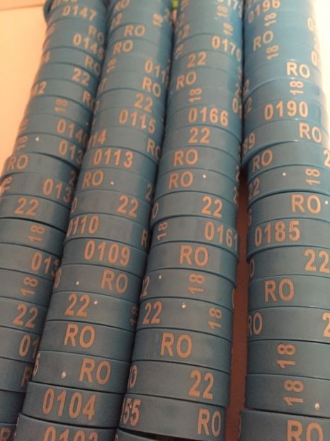  - 01 Inele Ornament 2018