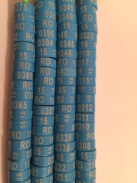  - 01 Inele Ornament 2018