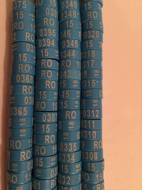  - 01 Inele Ornament 2018