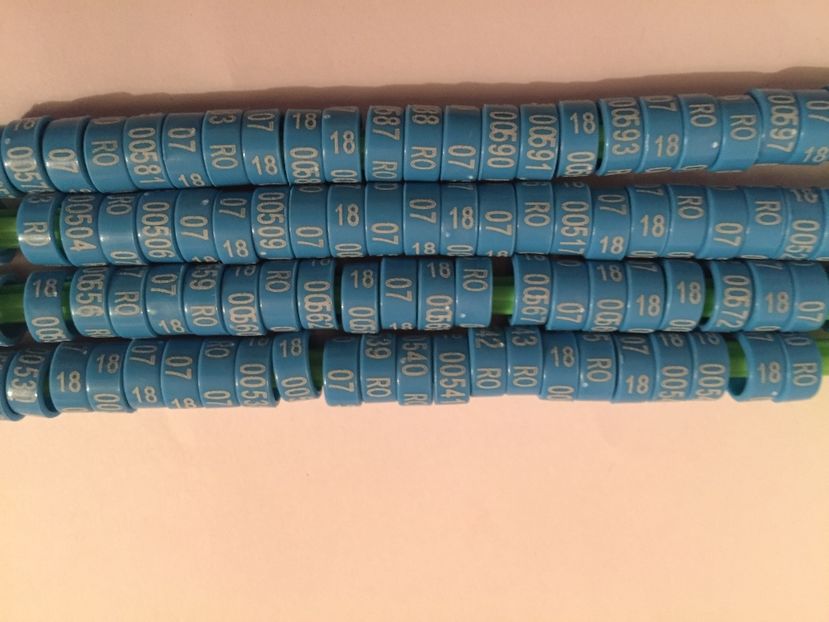  - 01 Inele Ornament 2018