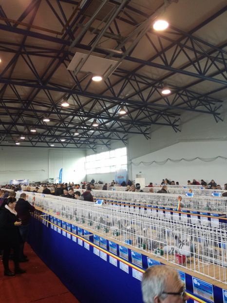  - 9-12-2017 Expozitie UCP PITESTI