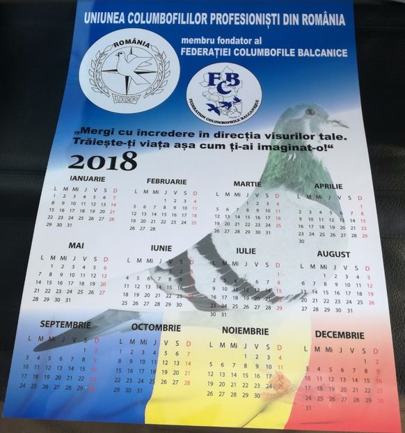  - 9-12-2017 Expozitie UCP PITESTI