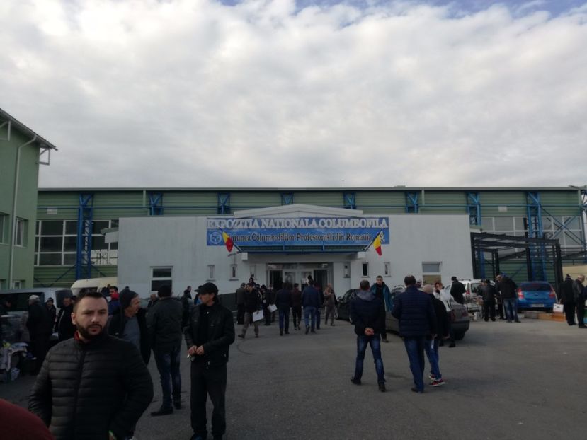  - 9-12-2017 Expozitie UCP PITESTI