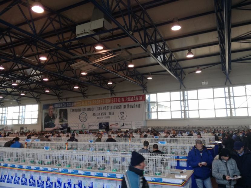  - 9-12-2017 Expozitie UCP PITESTI