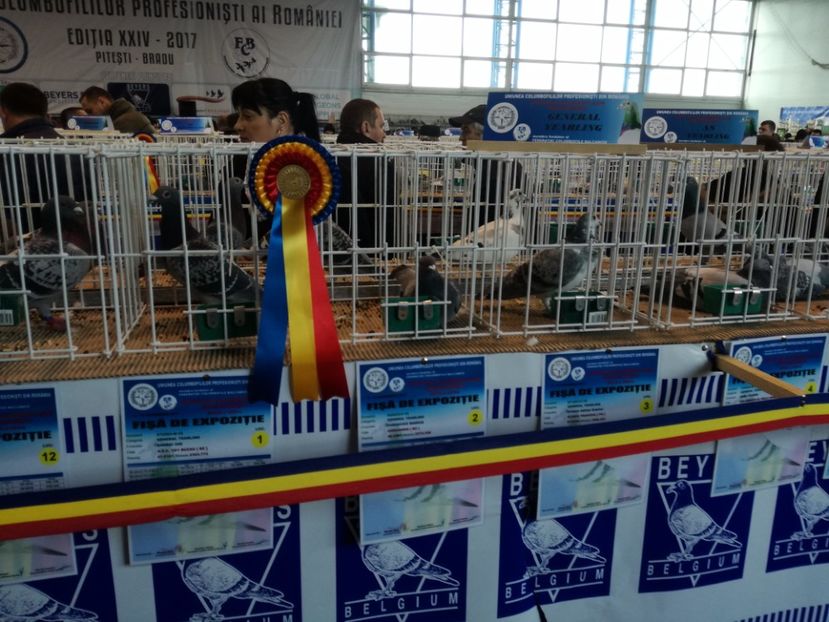  - 9-12-2017 Expozitie UCP PITESTI