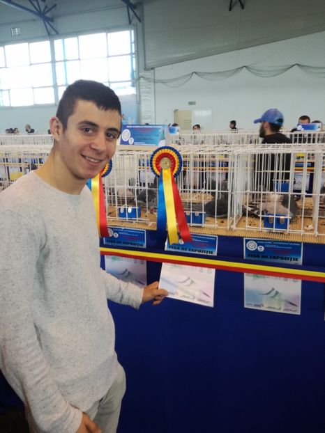  - 9-12-2017 Expozitie UCP PITESTI