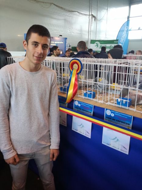  - 9-12-2017 Expozitie UCP PITESTI