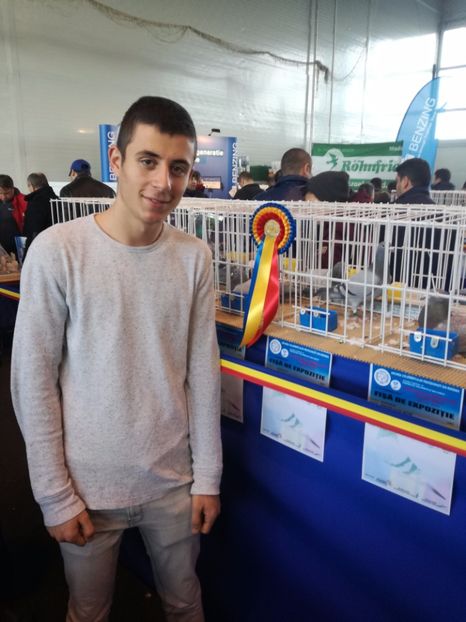  - 9-12-2017 Expozitie UCP PITESTI