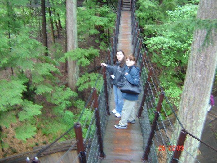 DSC01774 - surioara mea iubita