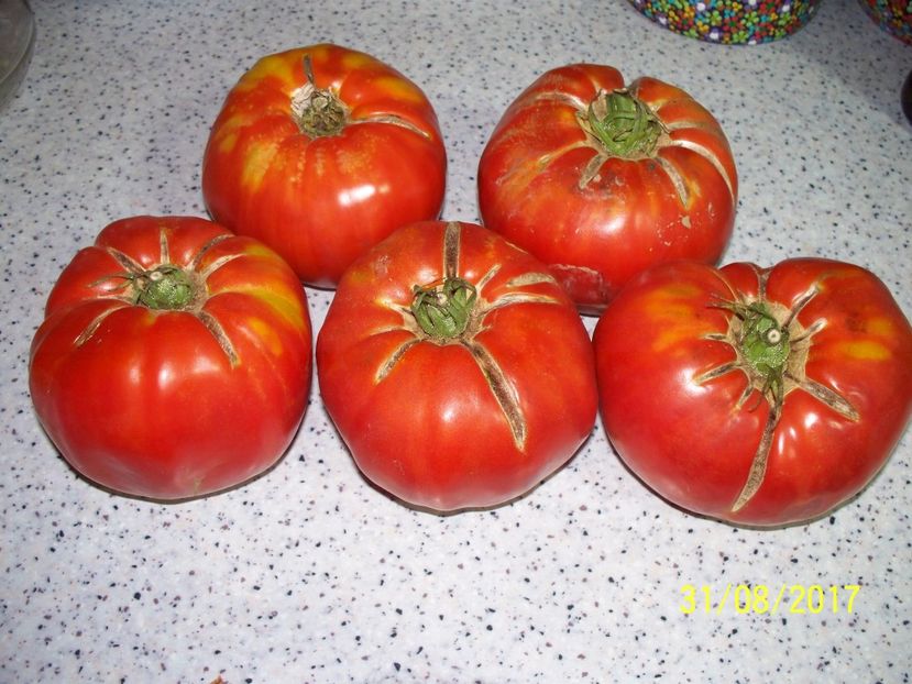 URIAȘE SÂRBEȘTI BĂLENI-N (4) - URIAȘE SÂRBEȘTI DE BĂLENI