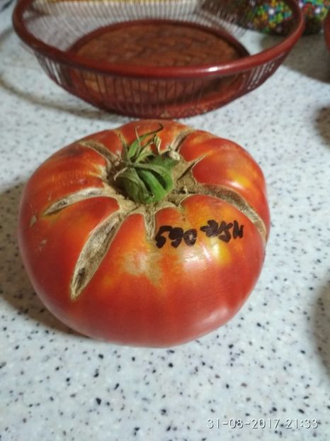 URIAȘE SÂRBEȘTI BĂLENI-N (32) - URIAȘE SÂRBEȘTI DE BĂLENI