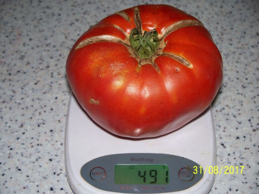 URIAȘE SÂRBEȘTI BĂLENI-N 491 gr (1) - URIAȘE SÂRBEȘTI DE BĂLENI