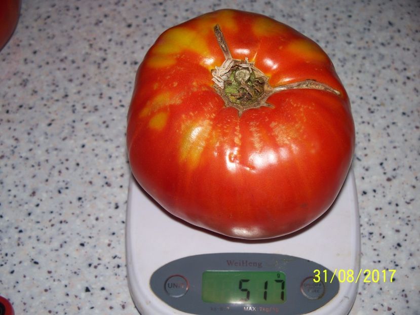 URIAȘE SÂRBEȘTI BĂLENI-N 517 GR (2) - URIAȘE SÂRBEȘTI DE BĂLENI