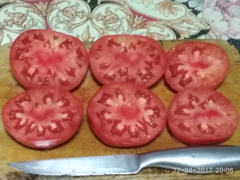 PONDEROSA (8) - PONDEROSA