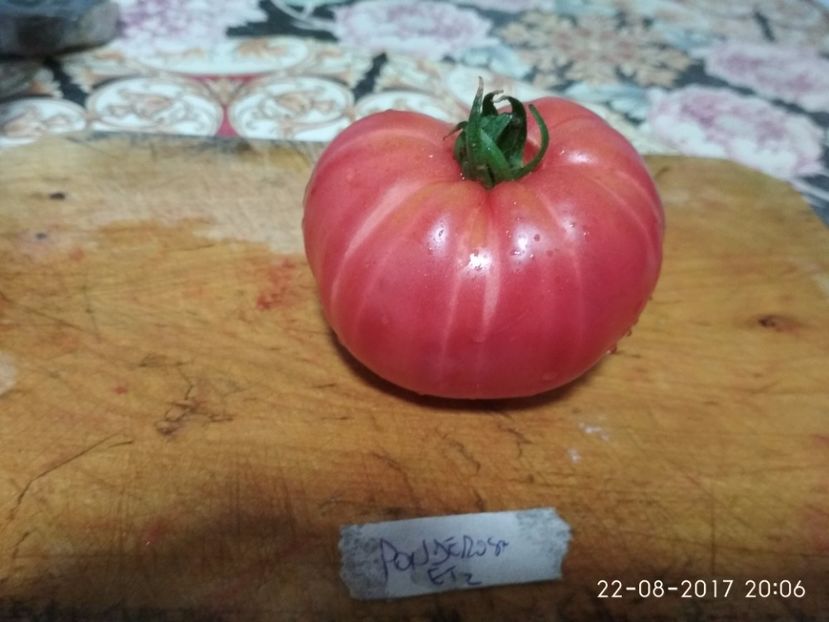 PONDEROSA (9) - PONDEROSA