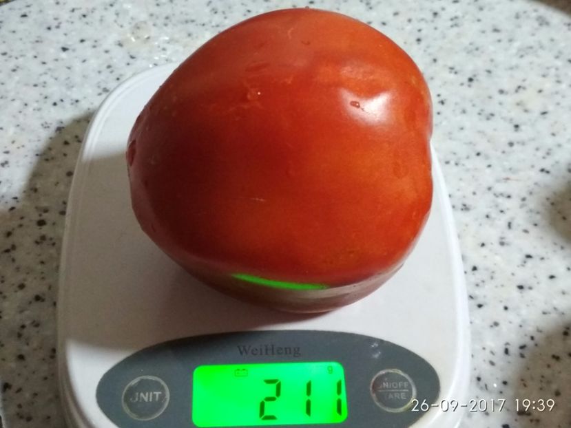 GRASE DE DÂMBOVIȚA TG (4) - GRASE DE DÂMBOVIȚA