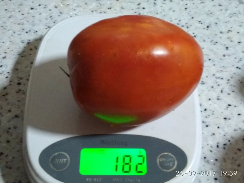 GRASE DE DÂMBOVIȚA TG (5) - GRASE DE DÂMBOVIȚA