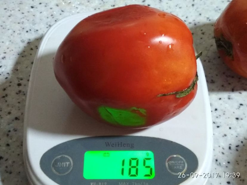 GRASE DE DÂMBOVIȚA TG (6) - GRASE DE DÂMBOVIȚA