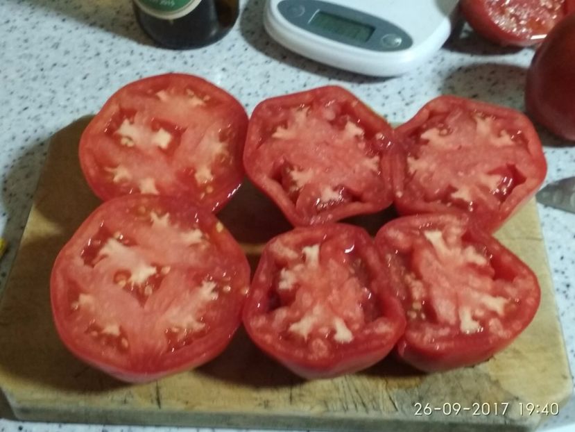 GRASE DE DÂMBOVIȚA TG (7) - GRASE DE DÂMBOVIȚA