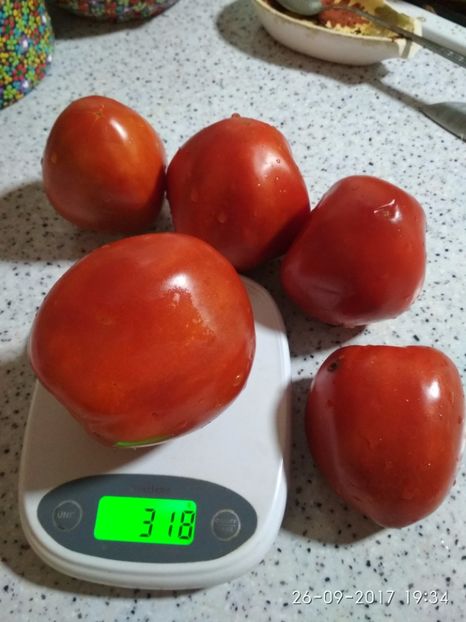 GRASE DE DÂMBOVIȚA TG (8) - GRASE DE DÂMBOVIȚA