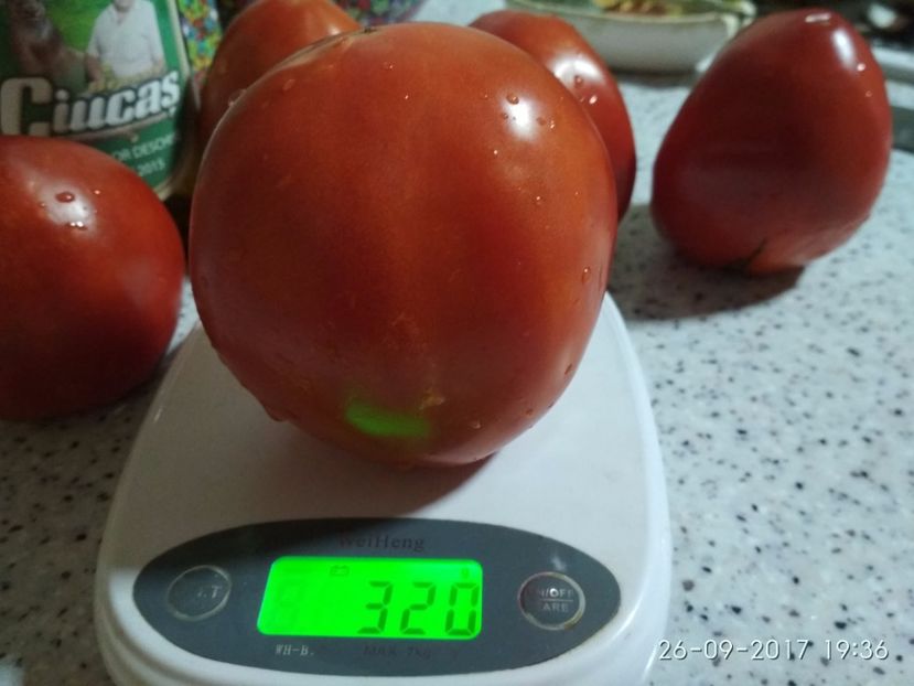 GRASE DE DÂMBOVIȚA TG (11) - GRASE DE DÂMBOVIȚA