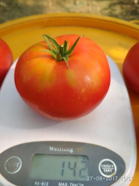 RUSSIAN BEEFSTEAK RED (7) - RUSSIAN BEEFSTEAK RED