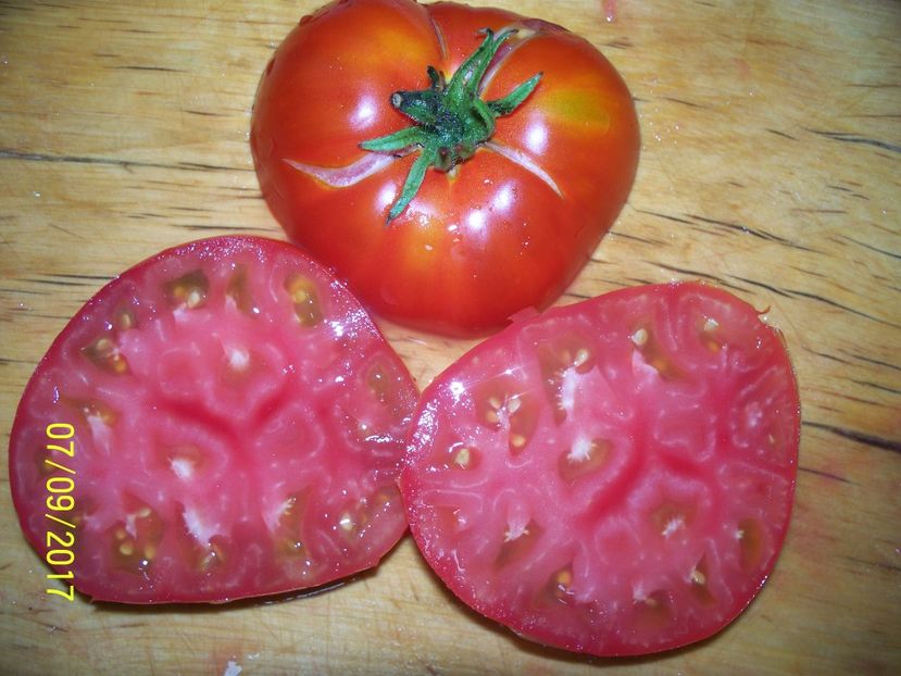 RUSSIAN BEEFSTEAK RED (11) - RUSSIAN BEEFSTEAK RED