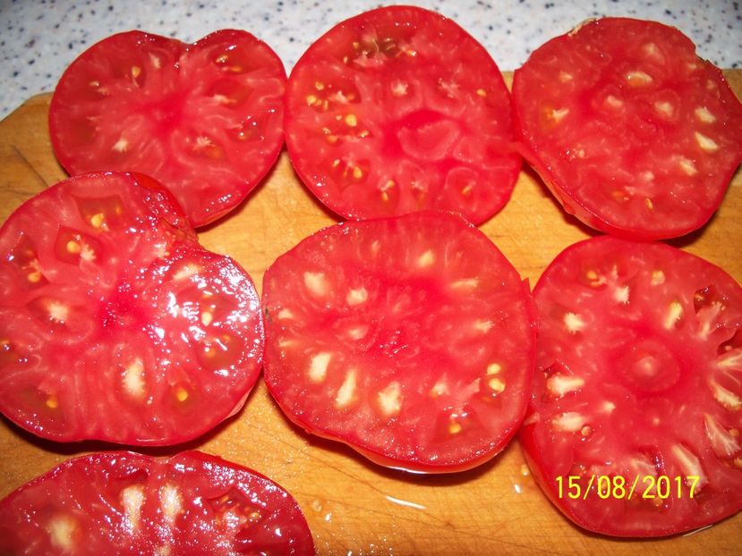 RUSSIAN BEEFSTEAK RED (23) - RUSSIAN BEEFSTEAK RED