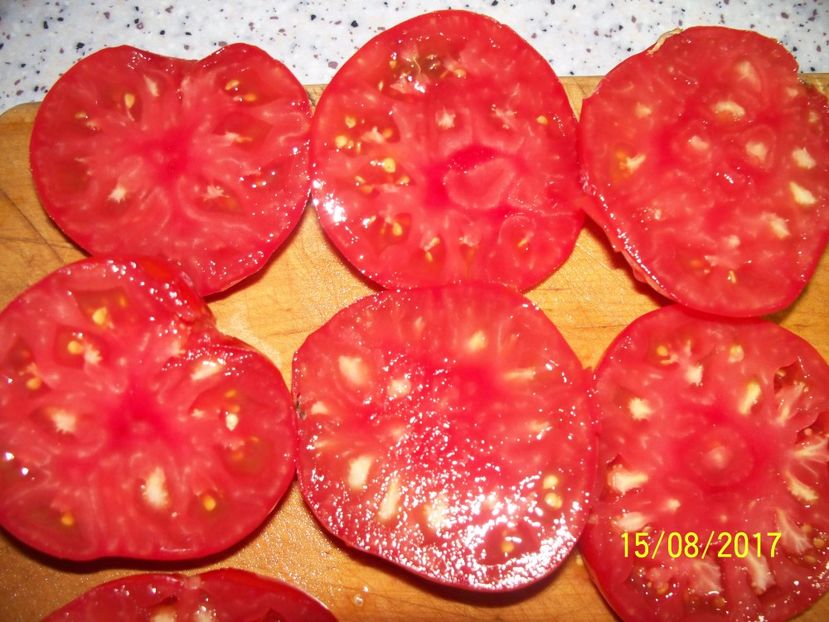 RUSSIAN BEEFSTEAK RED (32) - RUSSIAN BEEFSTEAK RED