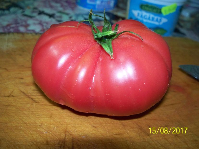 MONTEROSA DE LA UN FIR (3) - MONTEROSA