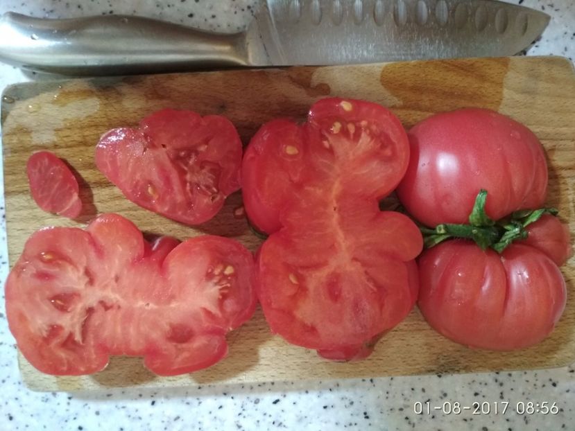 MONTEROSA DE LA UN FIR (5) - MONTEROSA