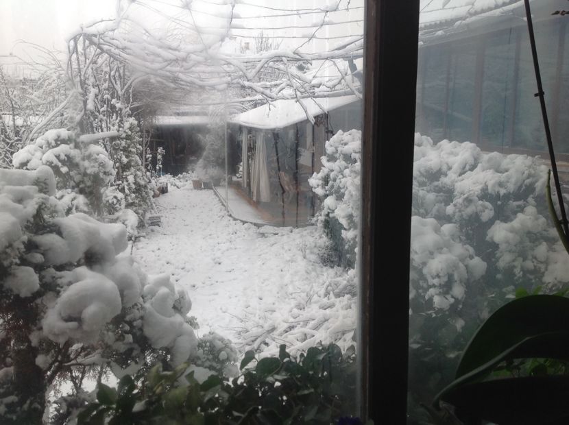  - Gradina iarna 2017