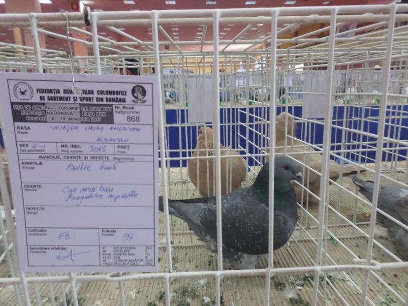 ROMEXPO 2017 94 PUNCTE - EXPOZITIA LA ROMEXPO BUC 2017