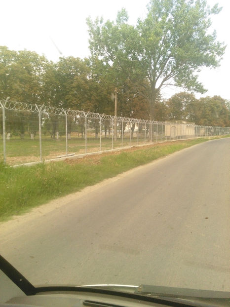 virgil 2016 468 - lucrarile mele