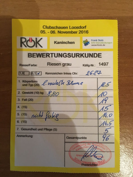 N 71 2627(F7) 96pct Reithmeyer - FEMELE MATCA 2018