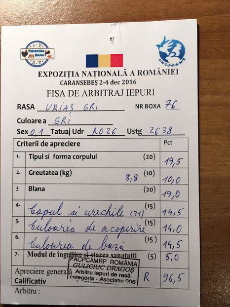 Ro  26 2638(F9) 96,5 pct - FEMELE MATCA 2018