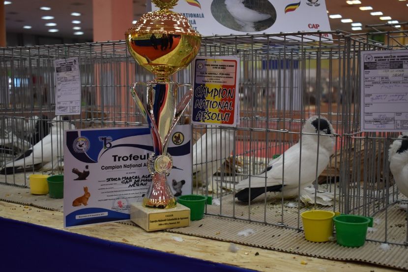  - 0_REZULTATE EXPOZITII