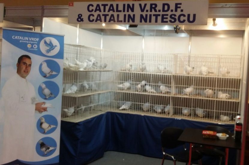 Stand 2017 - Expo Bucuresti -Romexpo 2017