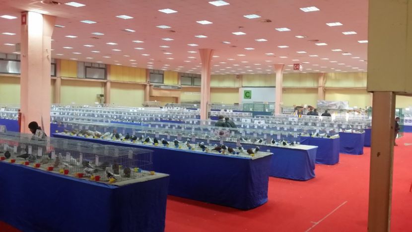 Sala - Expo Bucuresti -Romexpo 2017