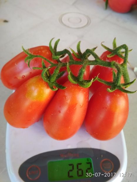 RUSSIAN LADIES MAN (2) - RUSSIAN LADIES MAN