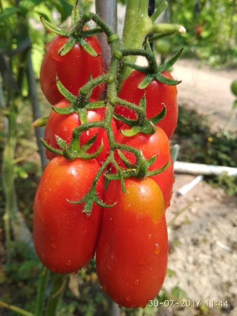 RUSSIAN LADIES MAN (5) - RUSSIAN LADIES MAN